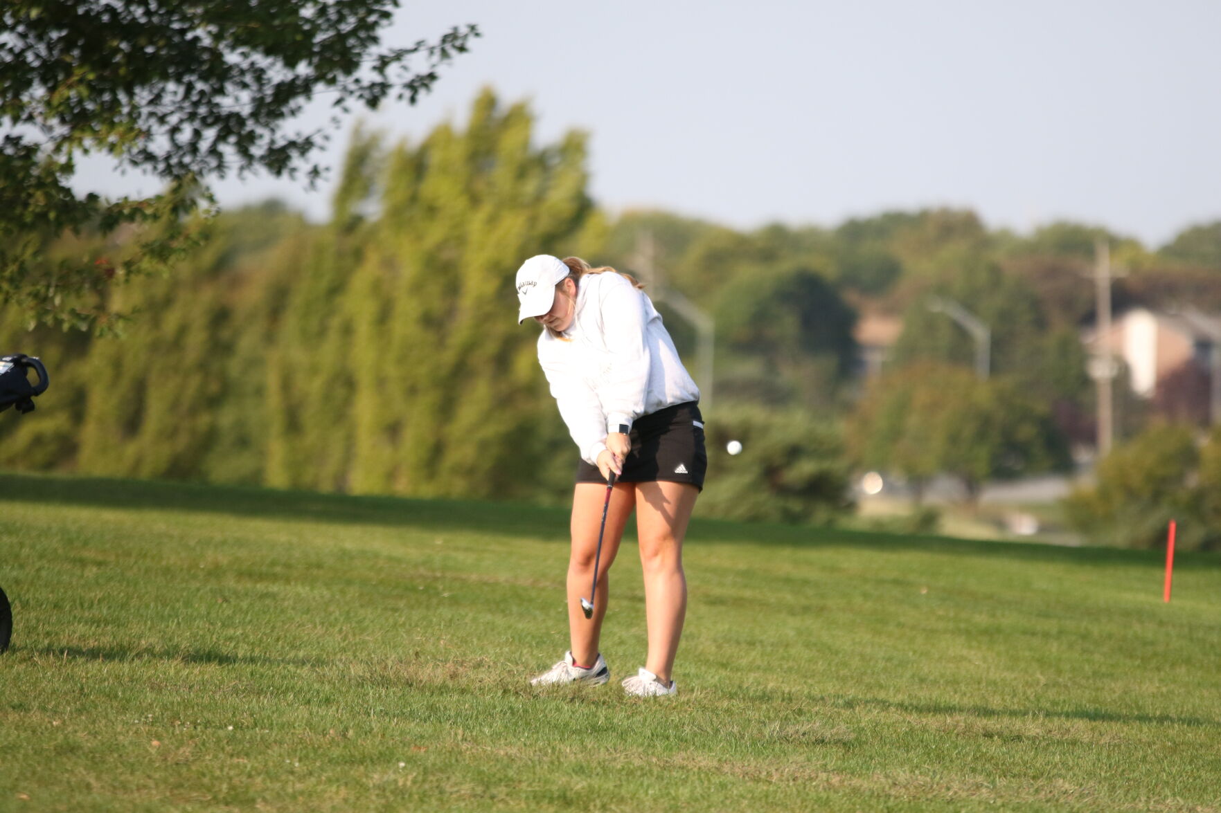 Pius X Golf Invite, Sept. 24 10.JPG